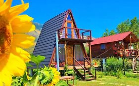 Life On The Farm